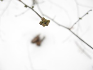 IMG_3326