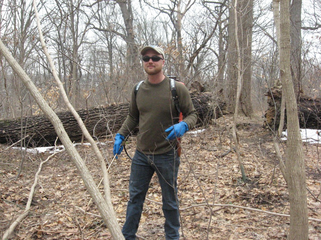 Luke Rhodes, Restoration Field Technician,Department of Parks and Rec targeting hundreds of cut stumps and basal bark application of Aralia elata