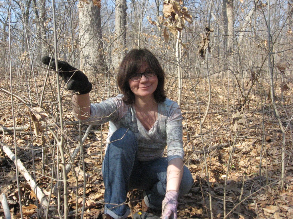 Isabelle Dijols cuts down Aralia elata  (the Japanese Angelica Tree) - Morris Park, Philadelphia