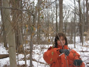 Pro-Forest activist Isabelle Dijols courageously fends off invading Oriental Bittersweet