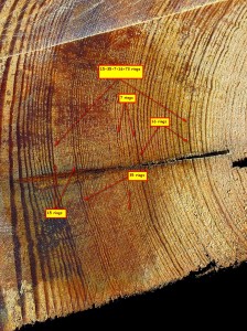 4-X-8-Pine-Timber-ring-count-detail