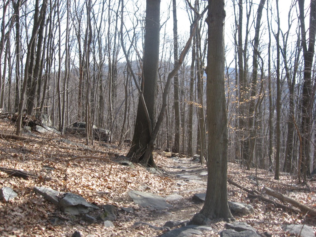 Weaverton, Maryland.  The Appalachian trail takes us up to a magnificent view of the mountain south of the Potomac river