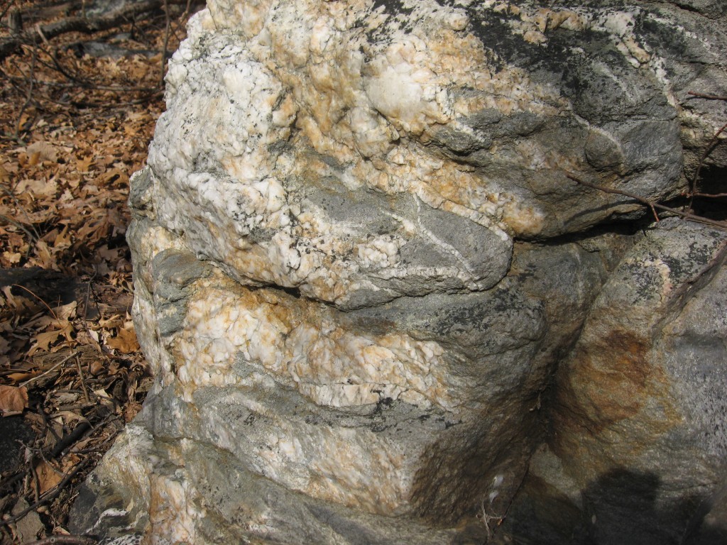 A boulder of Quartzite showing intense folding. In a colluvial pile of other boulders, and rocks near the bottom of the mountain. Most likely broken off from the Weverton Formation