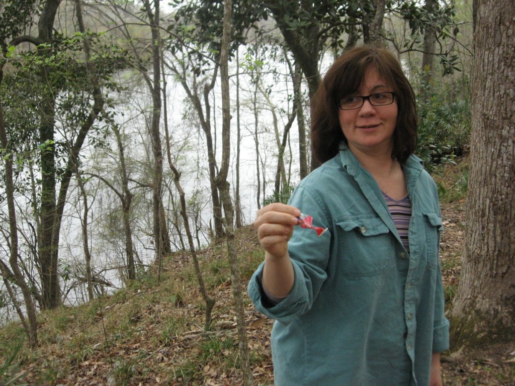 Isabelle removes trash from the ground where it sat amidst Trillium underwoodii.  Apalachicola River in backround along with Southern Magnolia