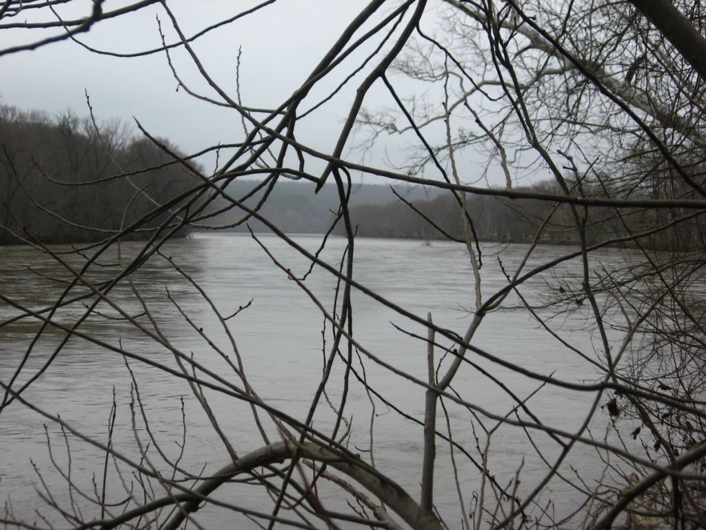 The James River - Virginia