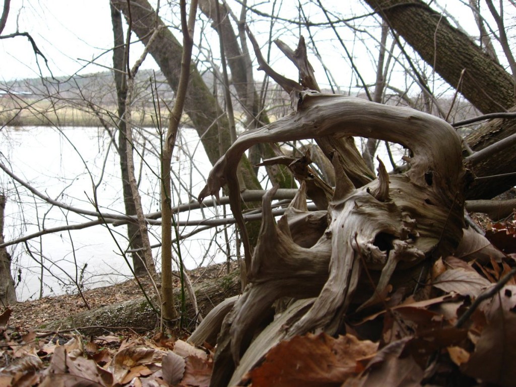 James River State Park - Gladstone, Virginia