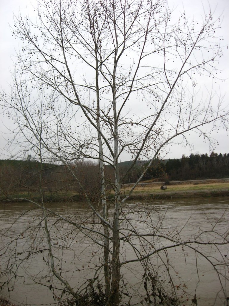 James River State Park - Gladstone, Virginia