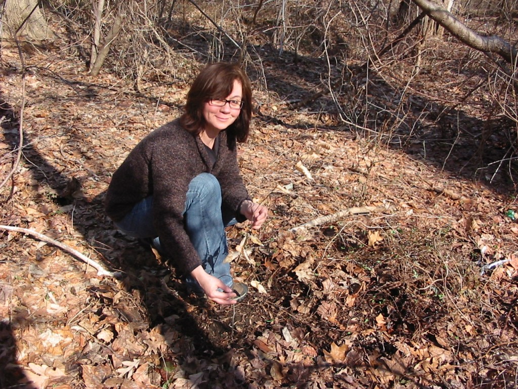 Isabelle Dijols discovered this tiny Beech tree under a thicket of japanese honeysuckle.  She removed the problematic vine, and uprooted all the vines surrounding the tree sapling. Here she proudly shows off her discovery and rescue operation.
