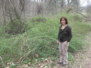 Multiflora Rose with Isabelle for size, Wissahickon Valley Park, Philadelphia Pennsylvania