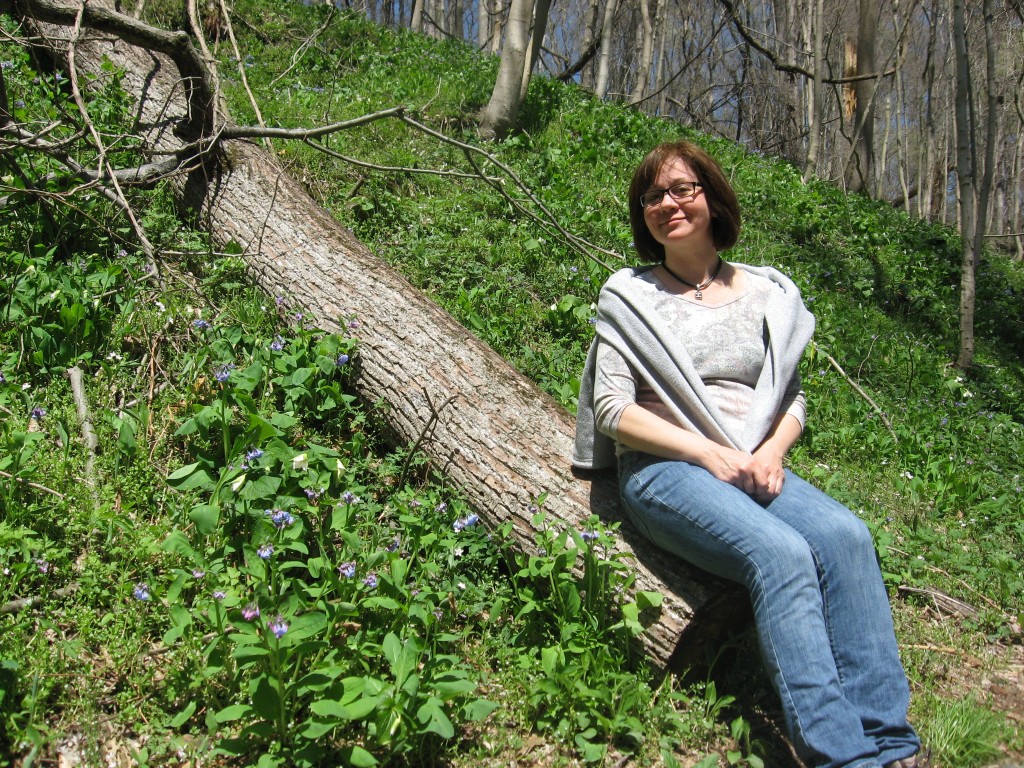 Isabelle and Bluebells, Shenks Ferry wildflower preserve. Lower Susquehanna River Valley, Pennsylvania