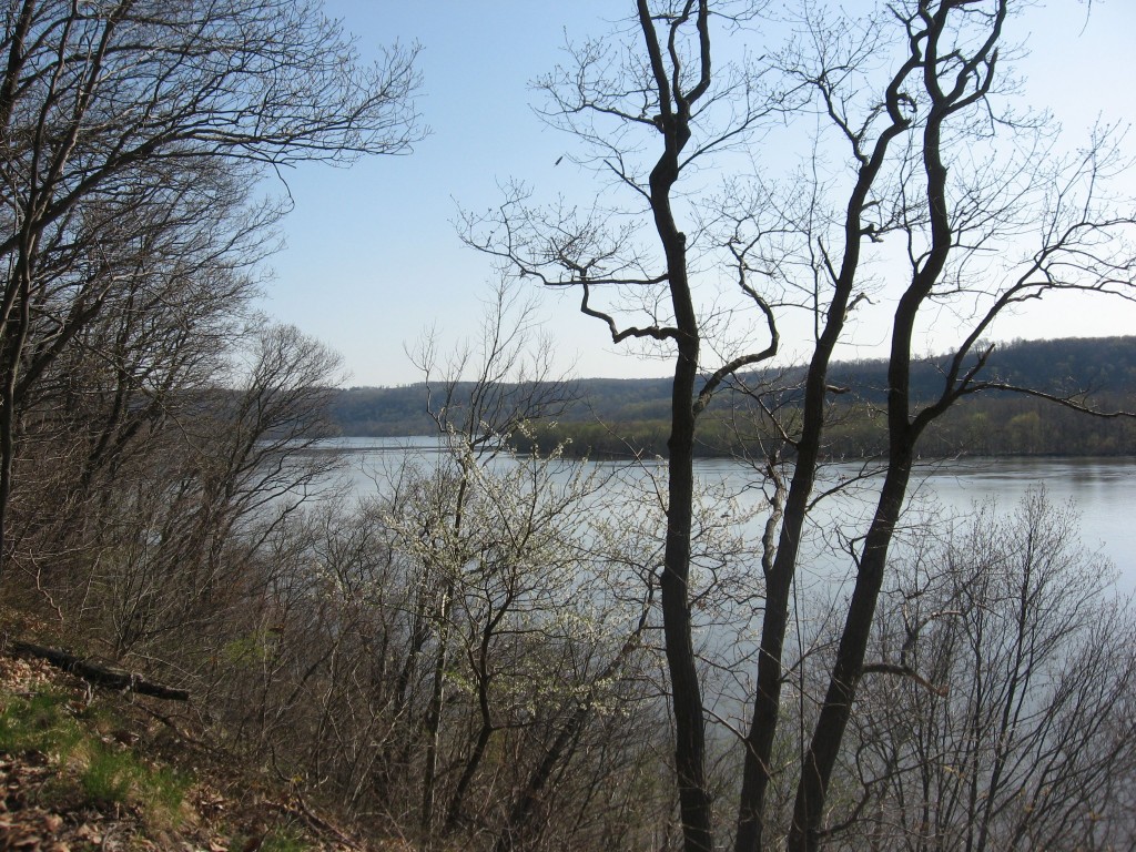 Shenks Ferry wildflower preserve. Lower Susquehanna River Valley, Pennsylvania