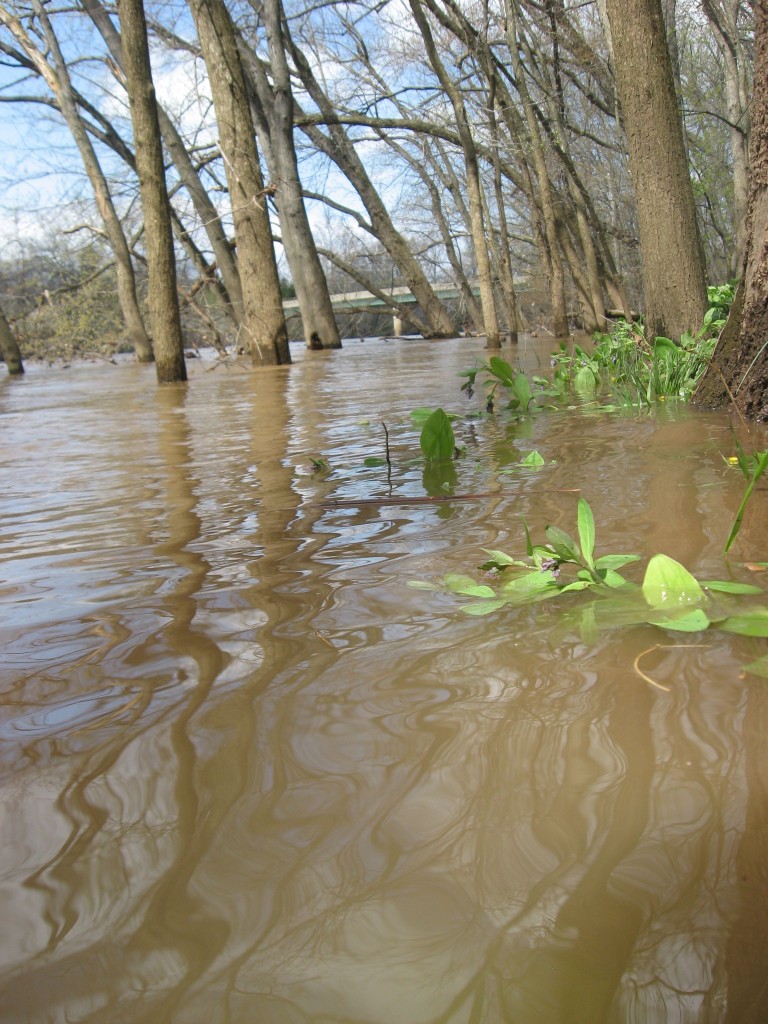 The Schuylkill River in Valley Forge Park, Pennsylvania