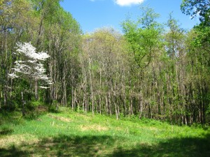 The Schuylkill Center For Environmental Education, Philadelphia, Pa