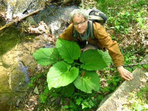 The Schuylkill Center For Environmental Education, Philadelphia, Pa