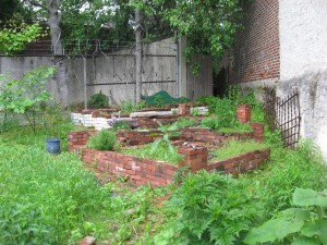 The vegetable garden of the Sanguine Root, Viola Street Philadelphia