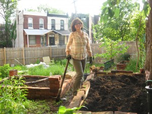 The vegetable garden of the Sanguine Root, Viola Street Philadelphia