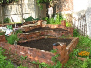 The vegetable garden of the Sanguine Root, Viola Street Philadelphia