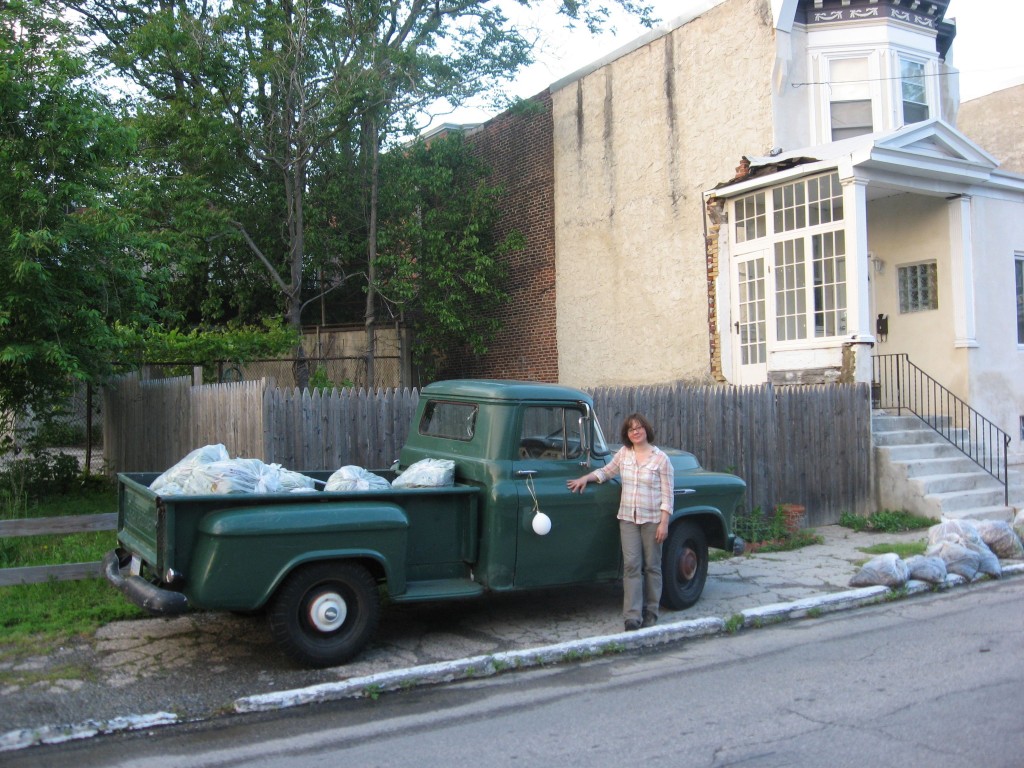 The vegetable garden of the Sanguine Root, Viola Street Philadelphia