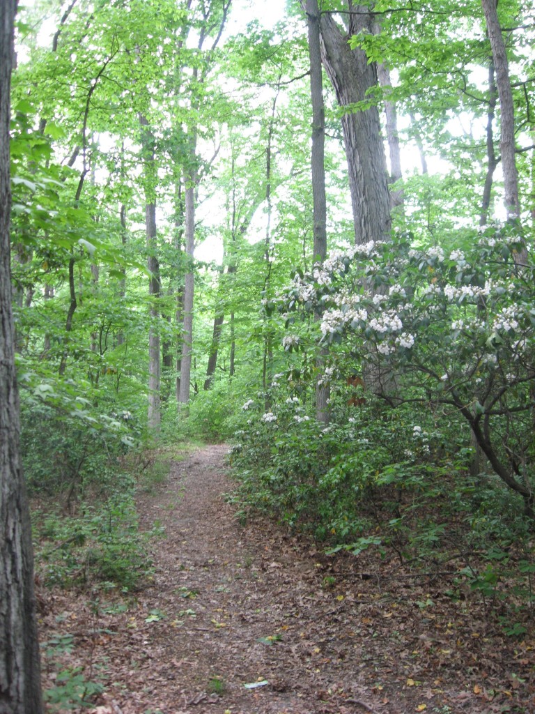 Lewden Green Park, New Castle County, Delaware