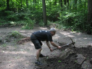 Sean Solomon is dismantling the assault done on the forest - Philadelphia, PA