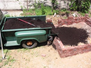 The site of the future vegetable garden of the Sanguine Root, Viola Street Philadelphia