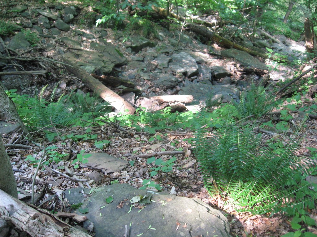 Point pleasant Community park, Bucks County, Pennsylvania