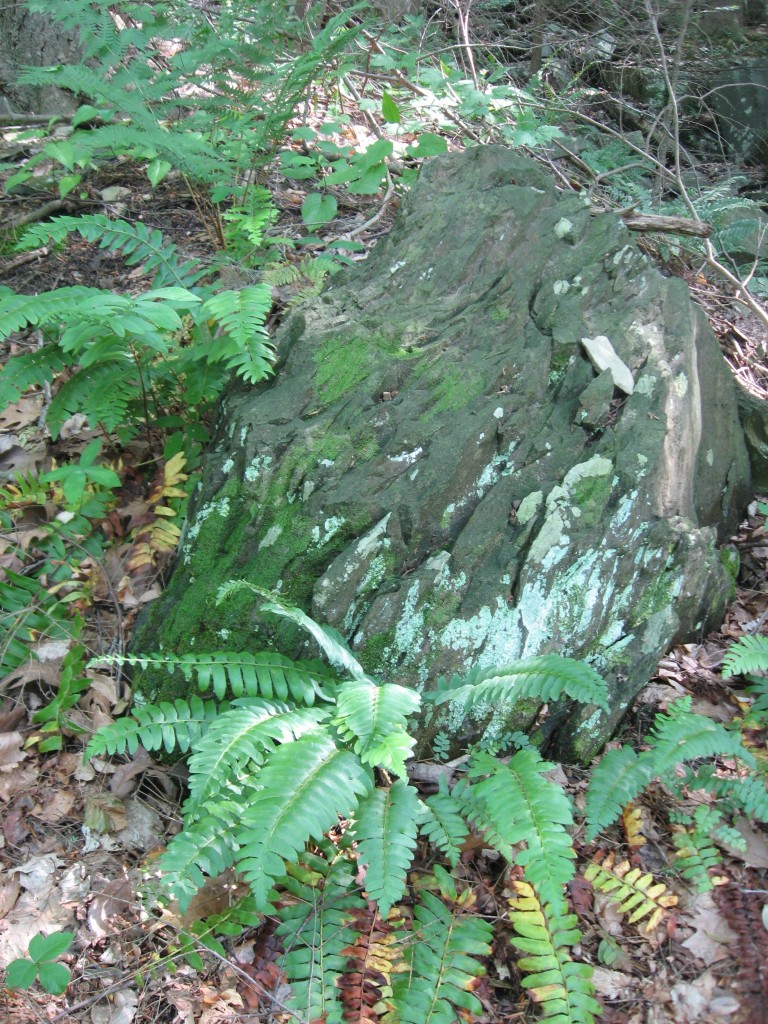 Point pleasant Community park, Bucks County, Pennsylvania