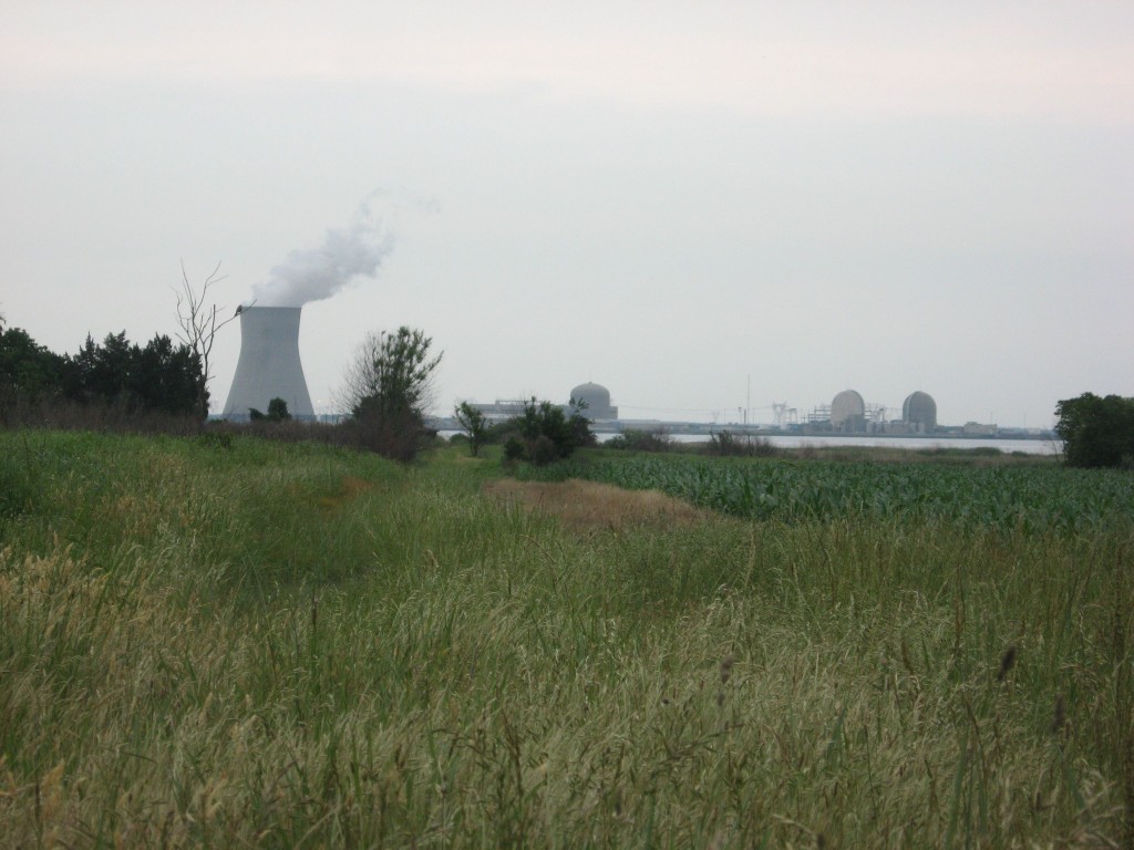  The view across the Delaware Bay, Delaware