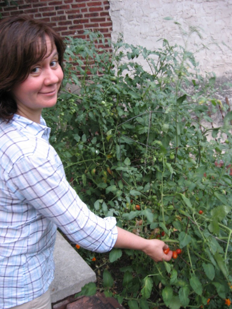 Isabelle picks cherry tomatoes in the Sanguine Root vegetable garden, Viola street, East Parkside, Philadelphia
