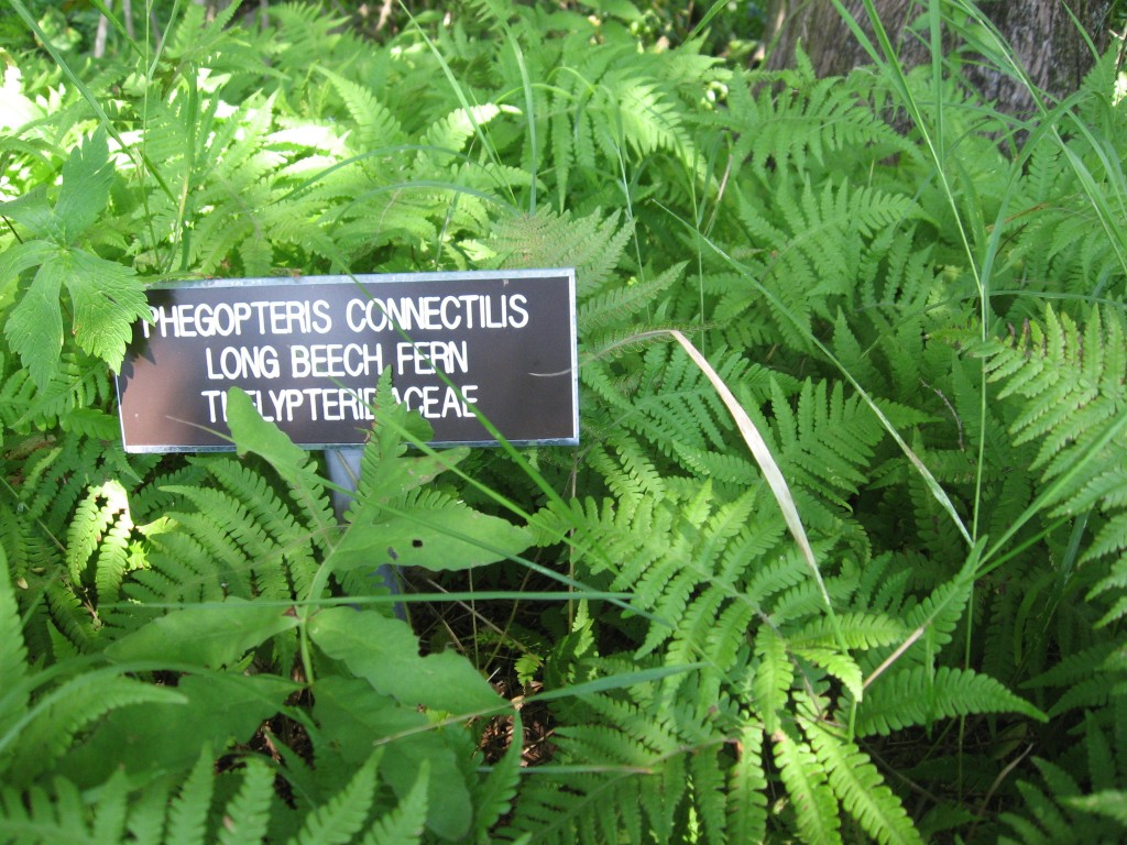 Norcross Wildlife Sanctuary, Wales, Massachusetts