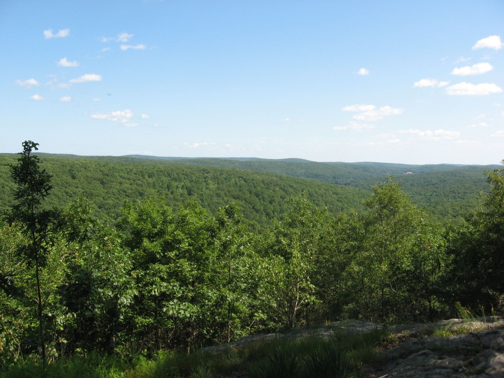 Norcross Wildlife Sanctuary, Wales, Massachusetts