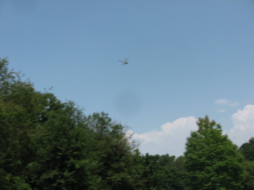  West Fairmount Park, Horticultural Center, Philadelphia Pennsylvania