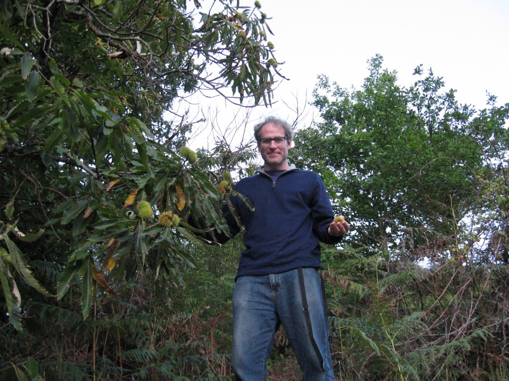 Sean Solomon with Castanea sativa in Conques, France