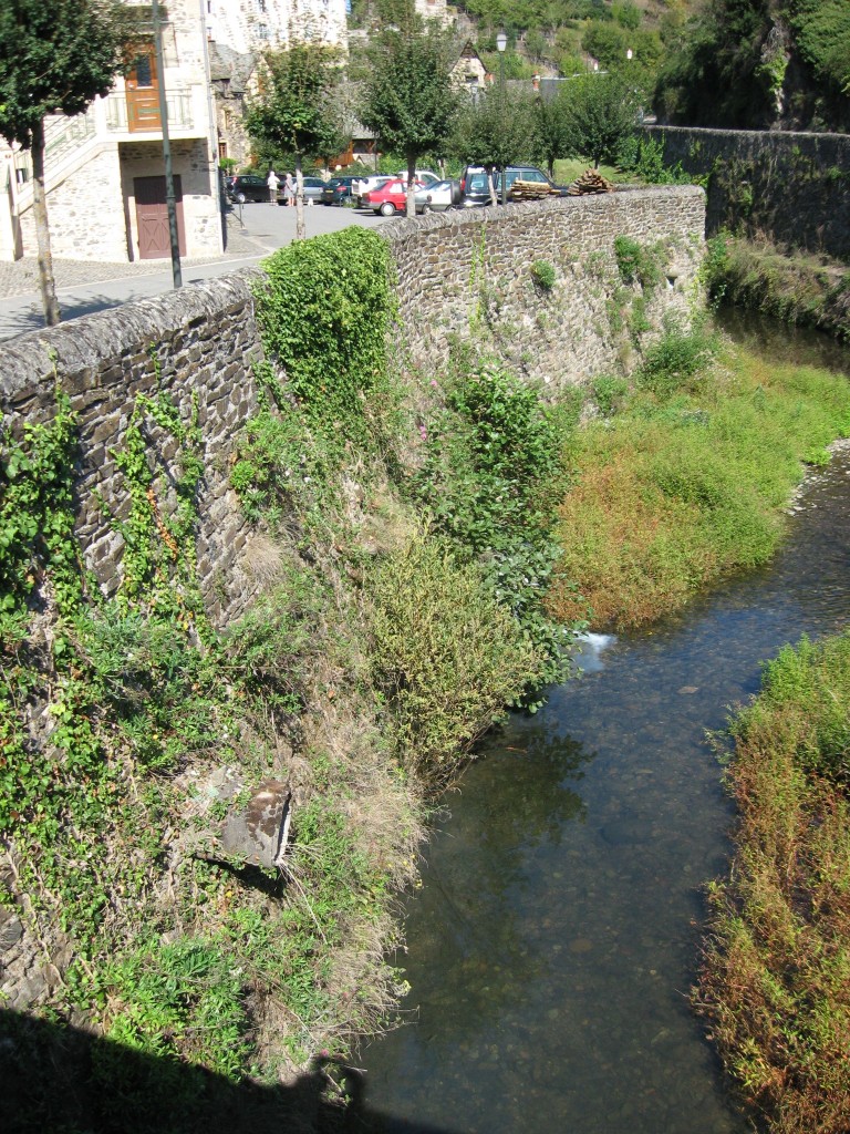 Impatiens balfouri, Estaing, France