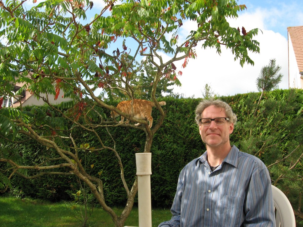 Staghorn Sumac in the Paris suburb of Bussy-St-George