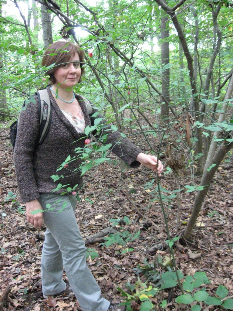 Isabelle with the shrub Hearts-a-bustin',  Wissahickon Valley Park, Philadelphia, Pennsylvania