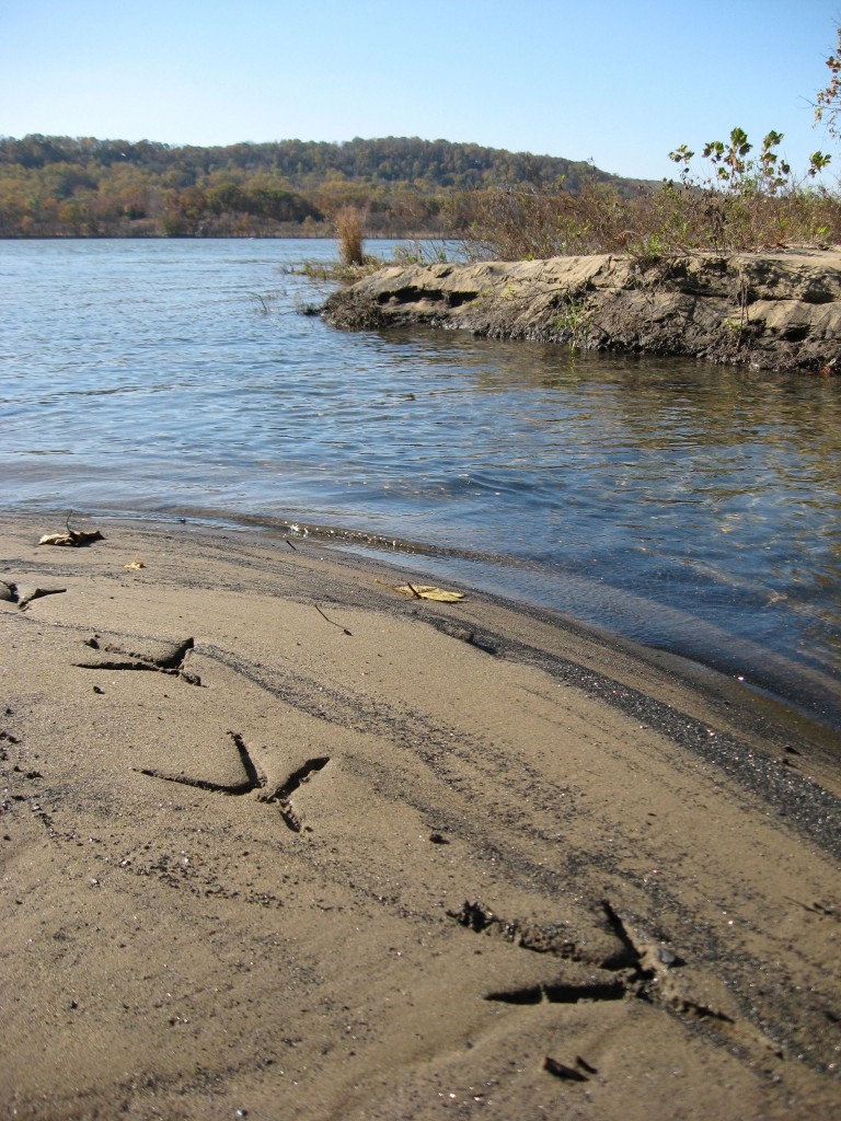 Susquehannock State Park, Lancaster County, Pennsylvania