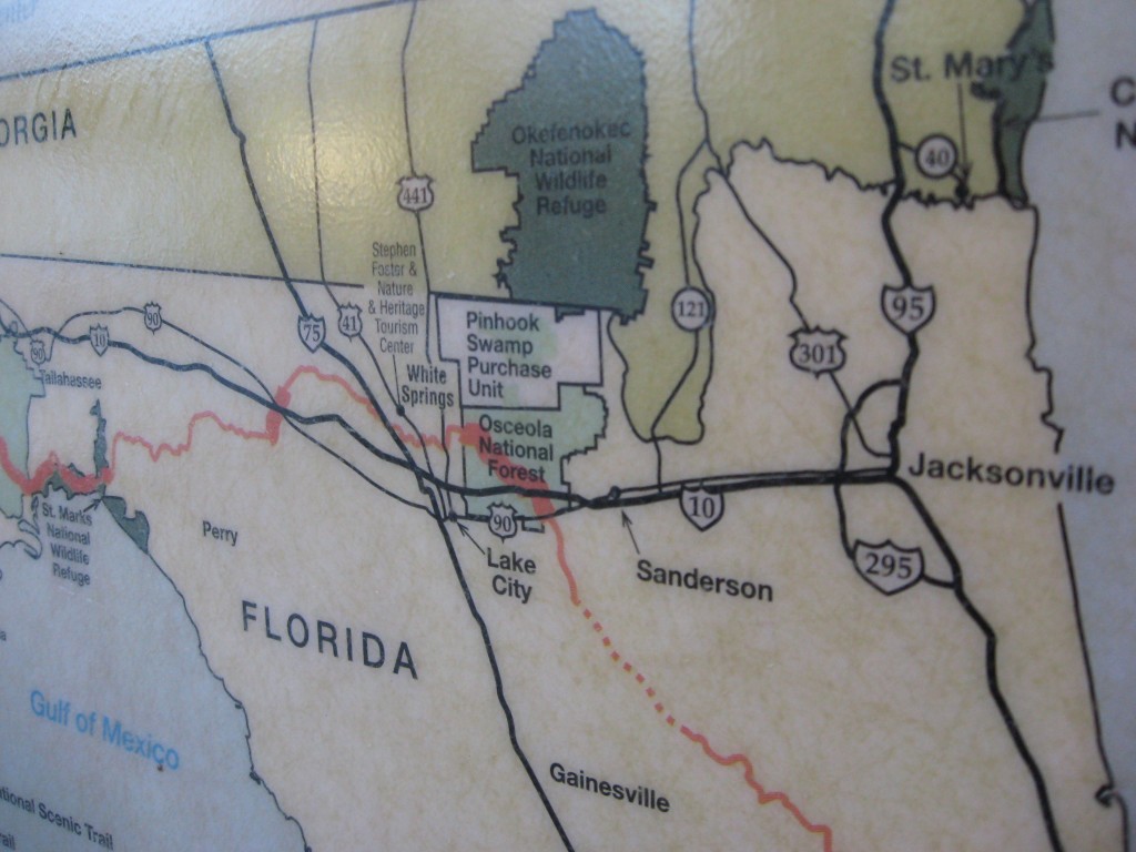 Osceola National Forest, Florida