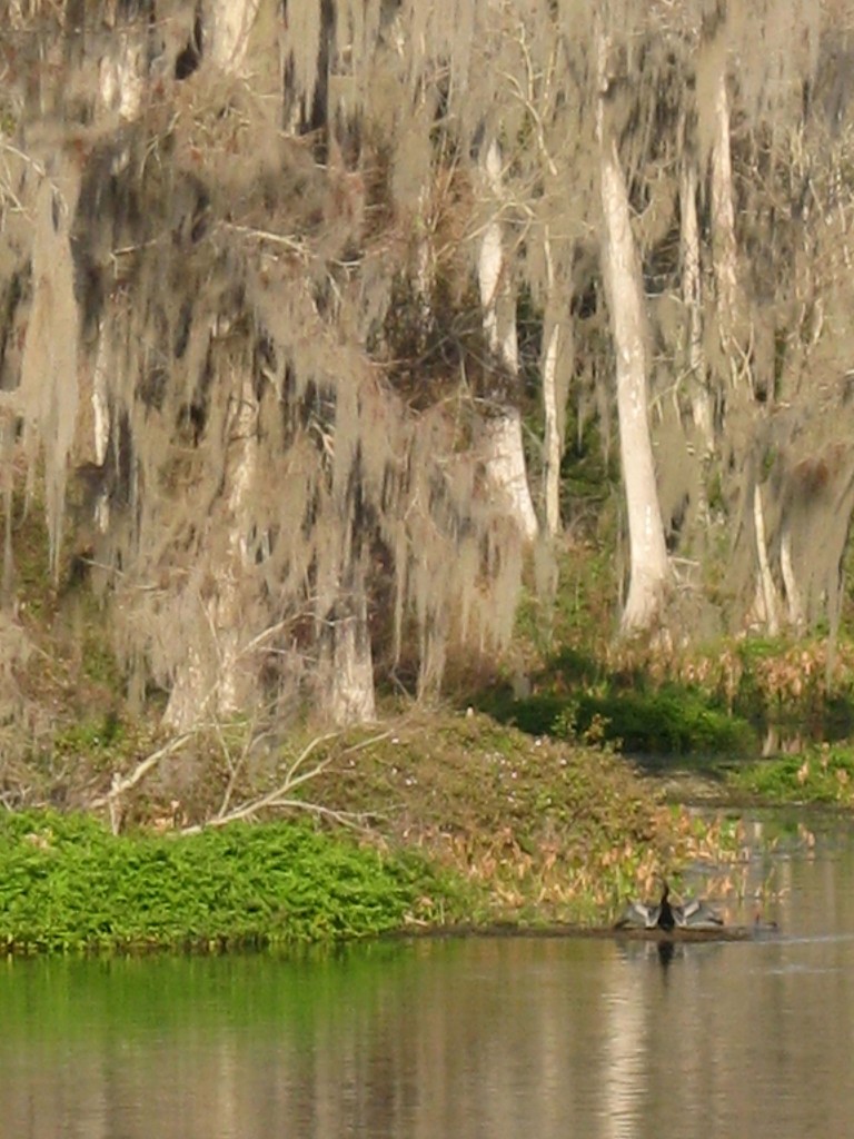 Wakulla Springs, Florida
