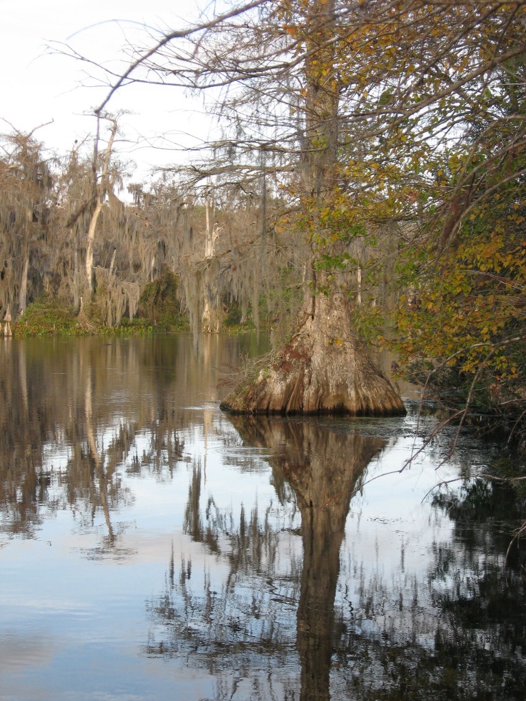 Wakulla Springs, Florida