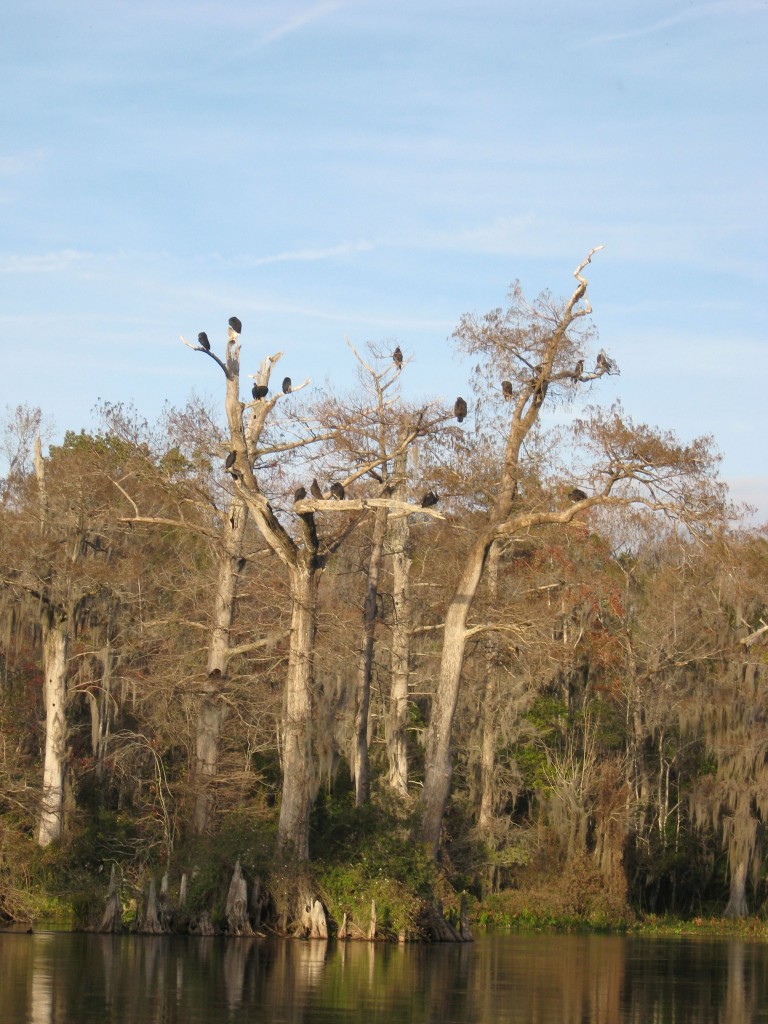 Wakulla Springs, Florida