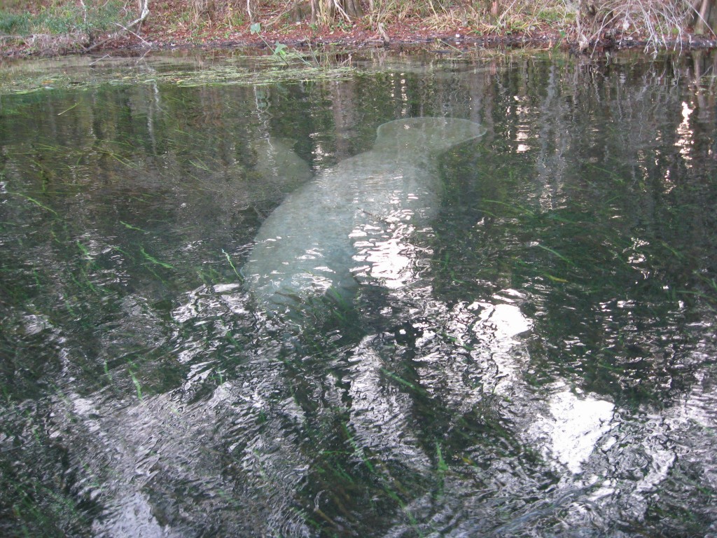 Wakulla Springs, Florida