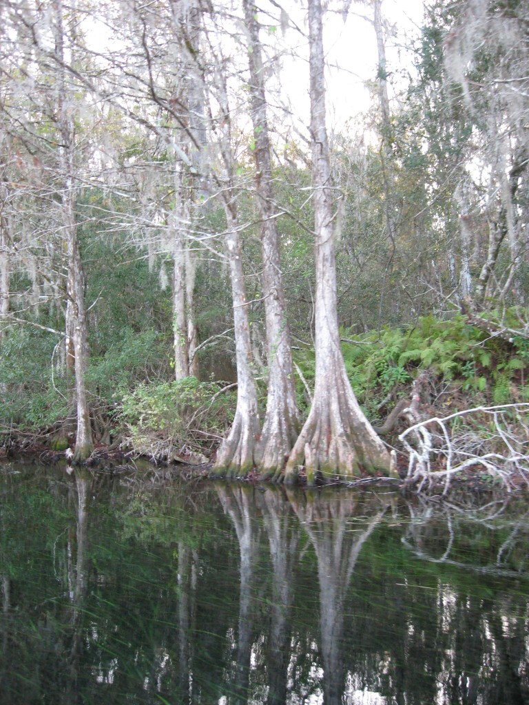 Wakulla Springs, Florida