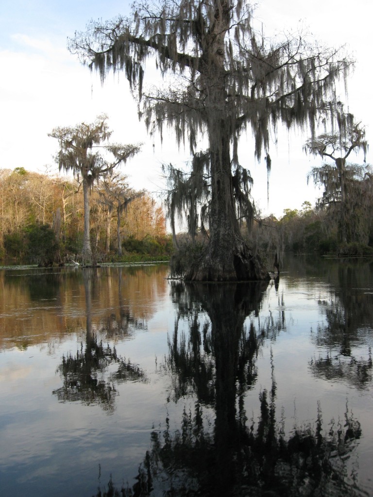 Wakulla Springs, Florida