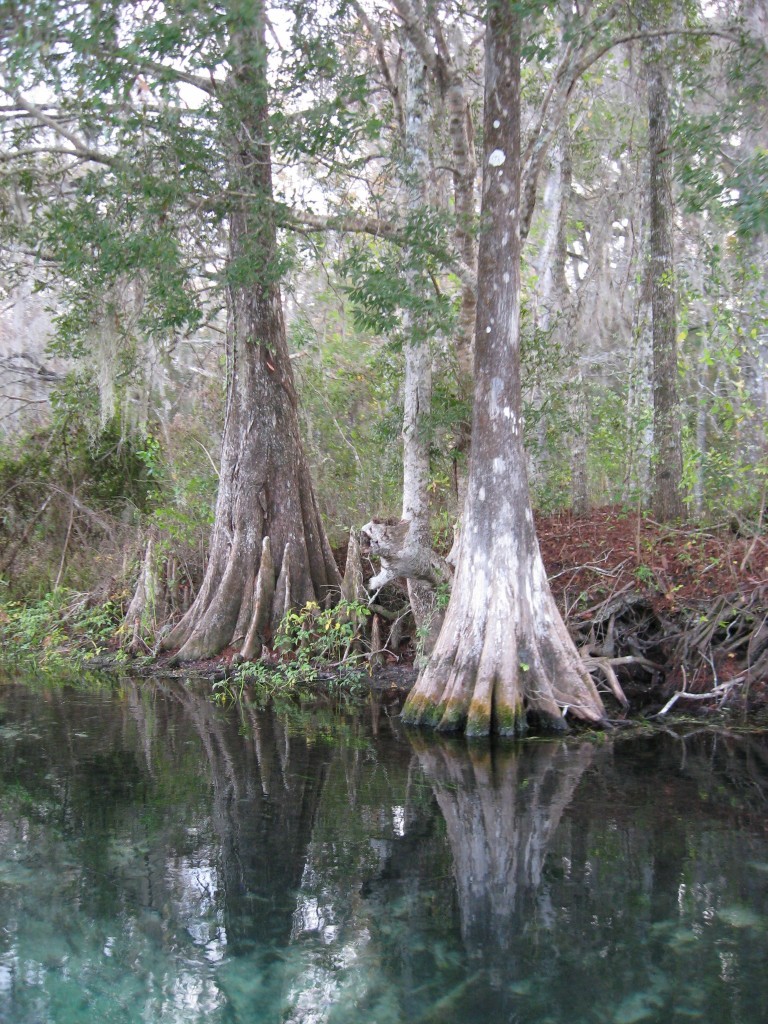 Wakulla Springs, Florida