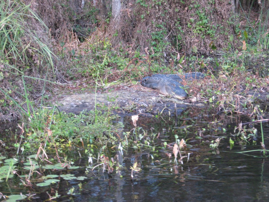 Wakulla Springs, Florida