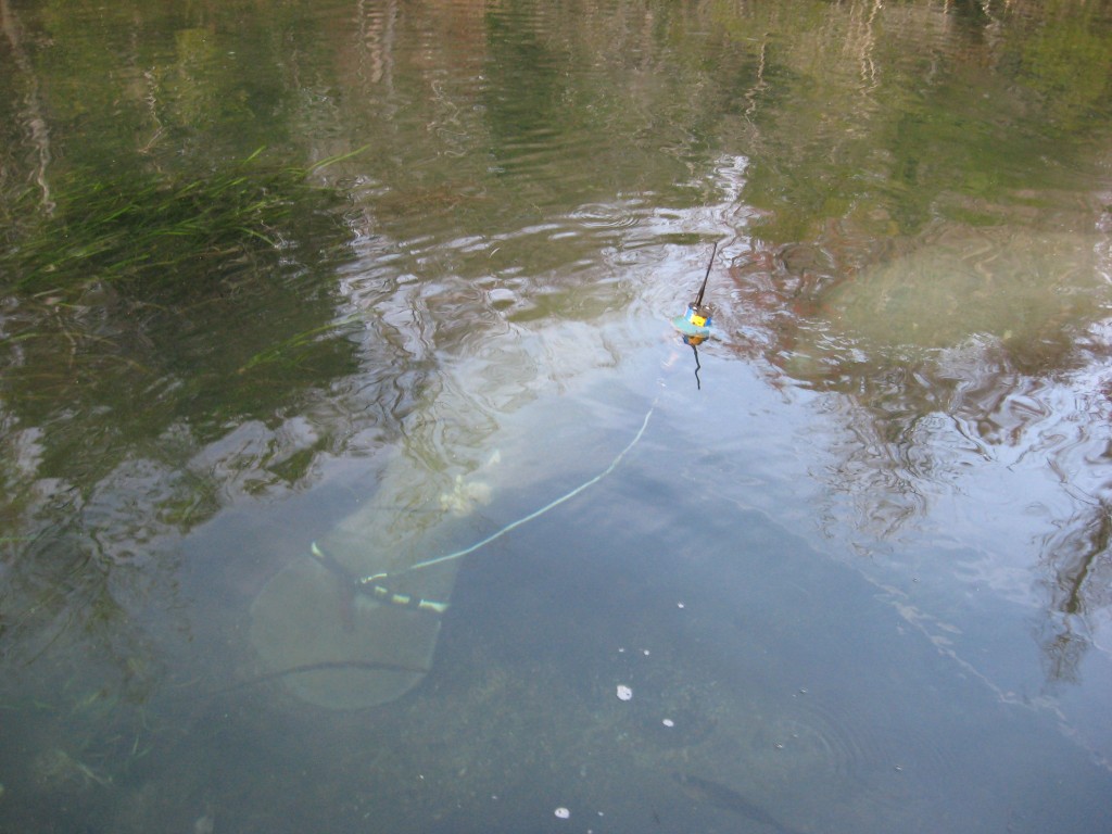 Wakulla Springs, Florida