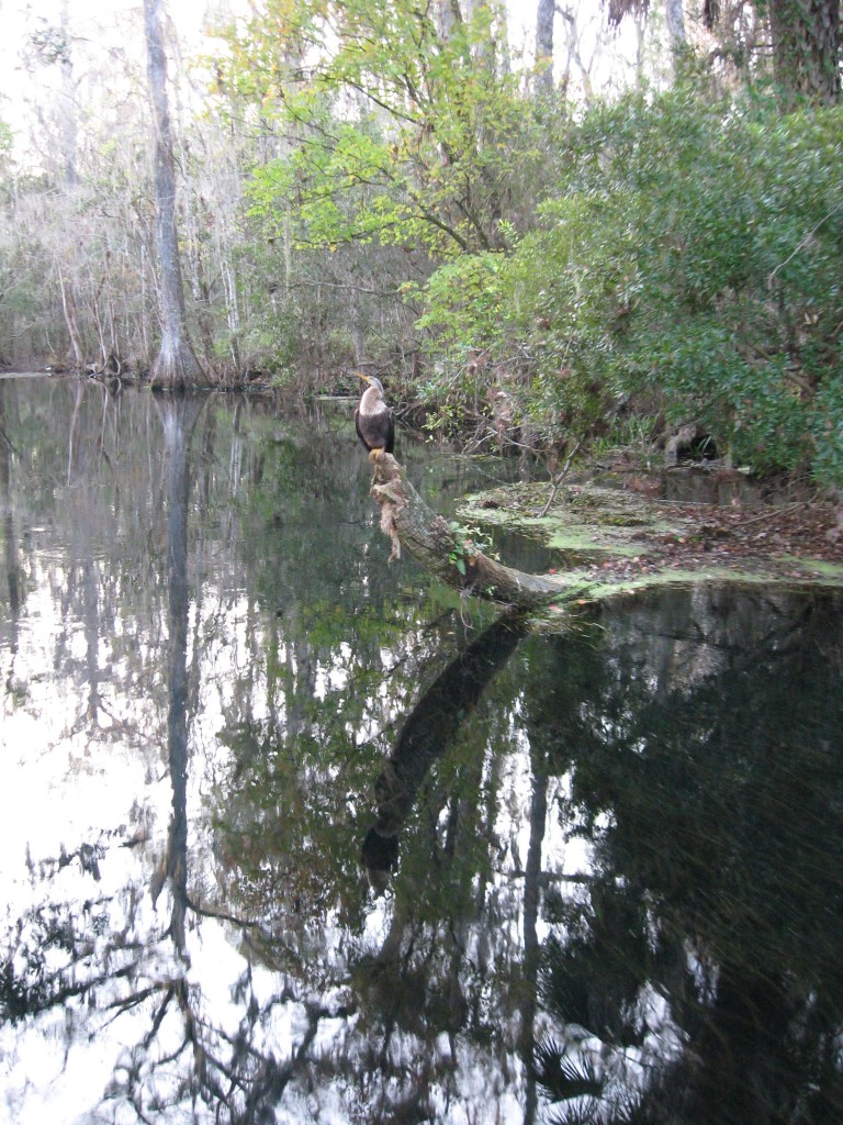 Wakulla Springs, Florida