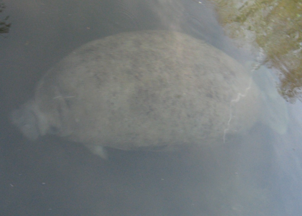 Wakulla Springs, Florida