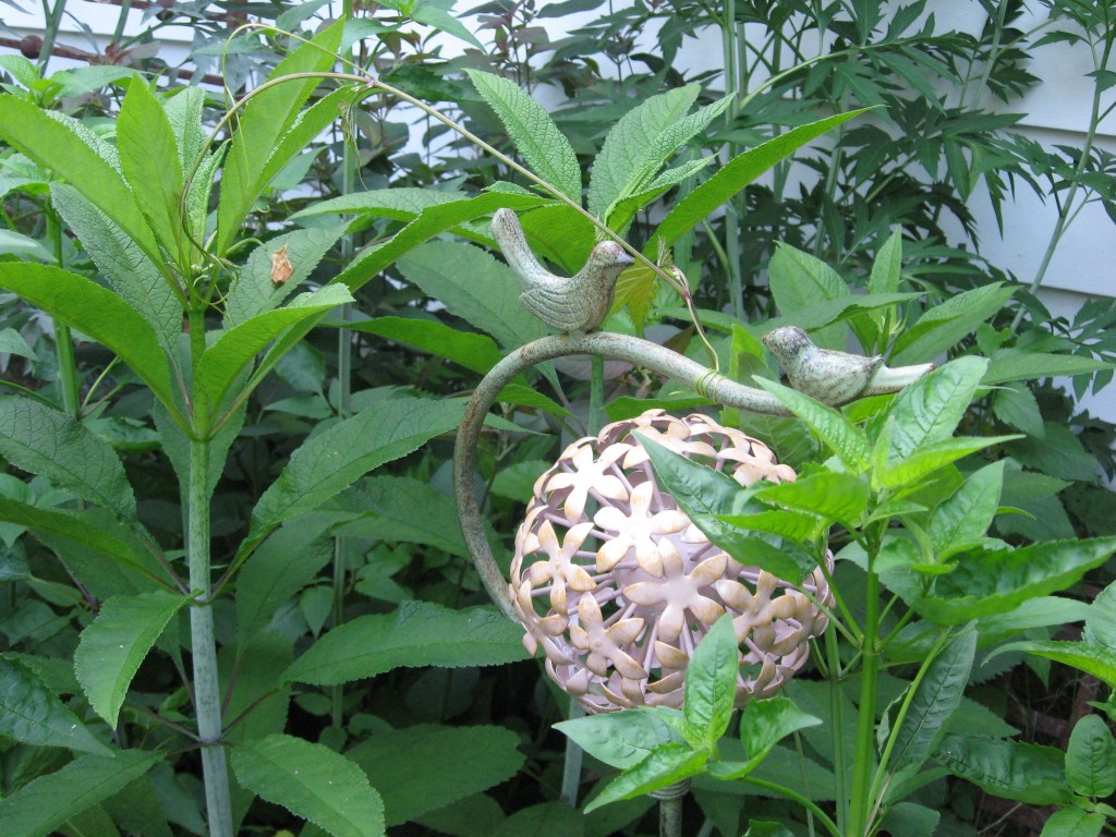 Joe Pye Weed, The native plant garden of the Sanguine Root, Morris Park Road, Overbrook, West Philadelphia, Pennsylvania